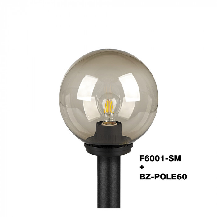 F6000 Series Globes with BZ POLE603
