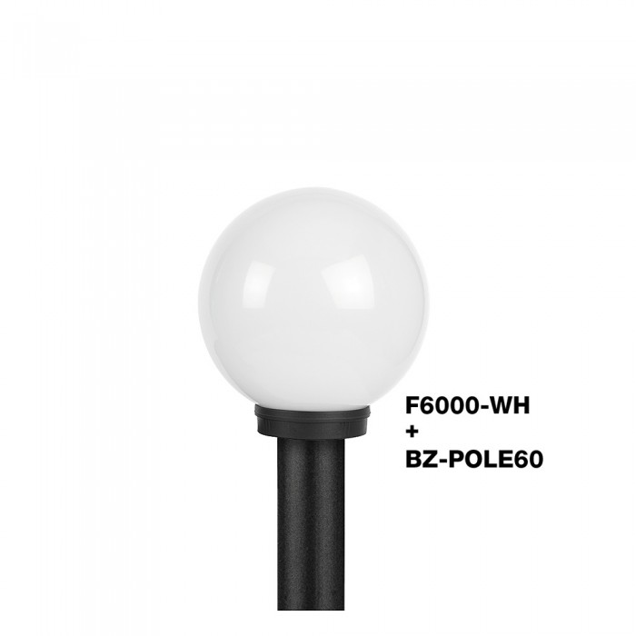 F6000 Series Globes with BZ POLE609