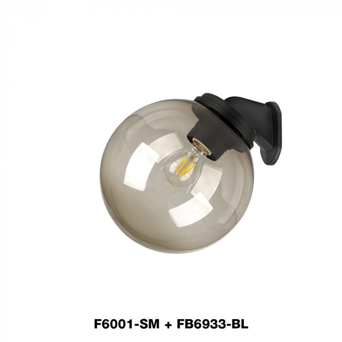 F6000 Series Smoked Globes Brackets4