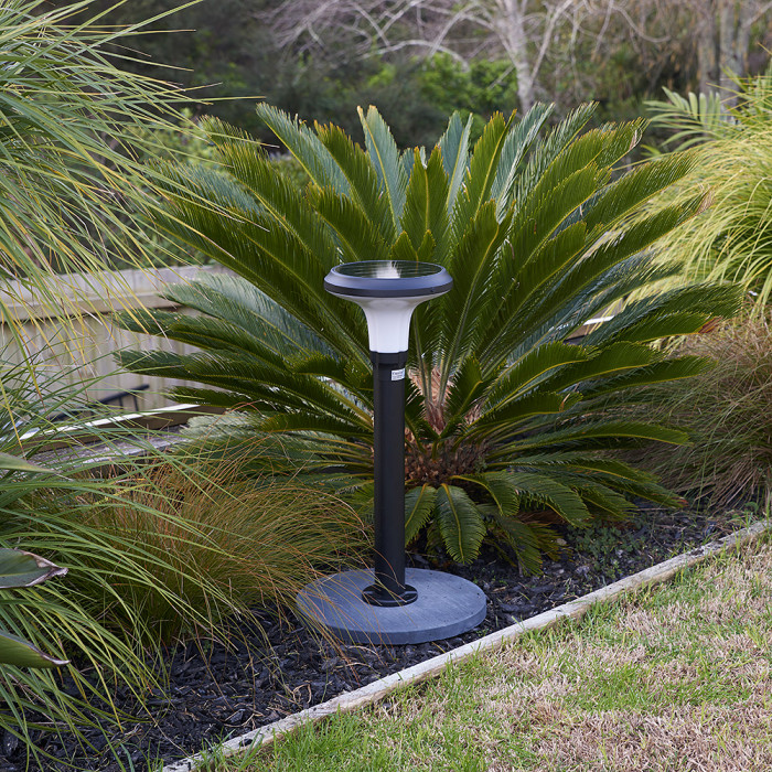 PVB300 BL Insitu Night 2