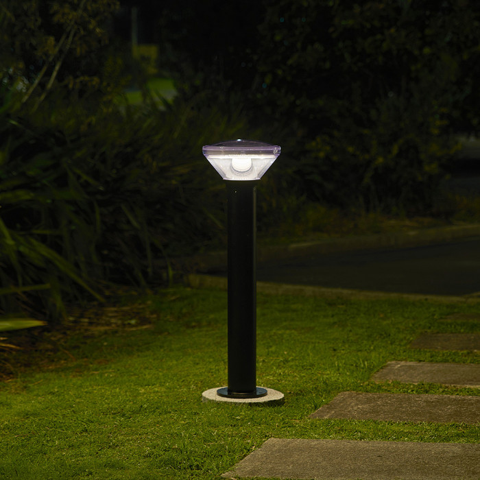 PVB900 BL Tui insitu 2 Web Rez