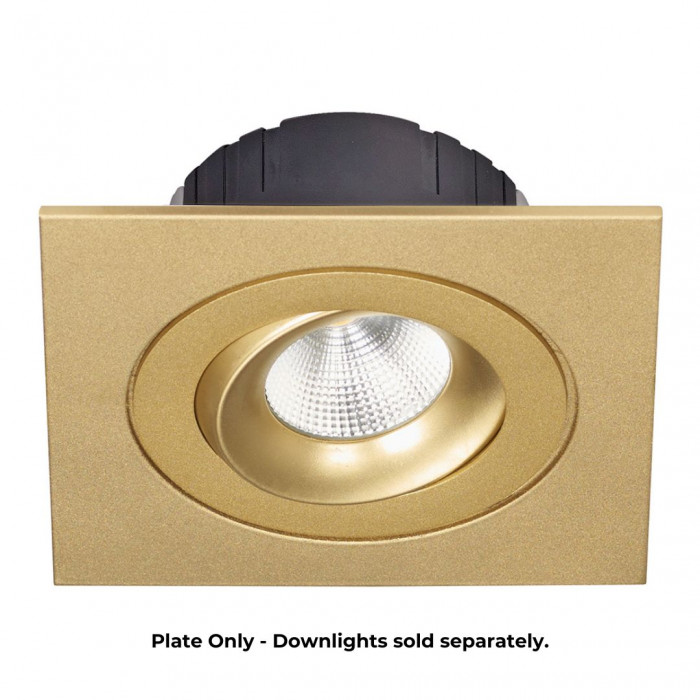 Single Plate for Multiform LED Downlights in Gold Web Rez