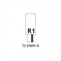 TS ENDR SI Diagram