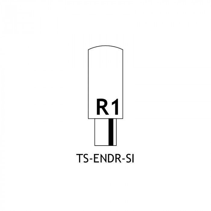 TS ENDR SI Diagram