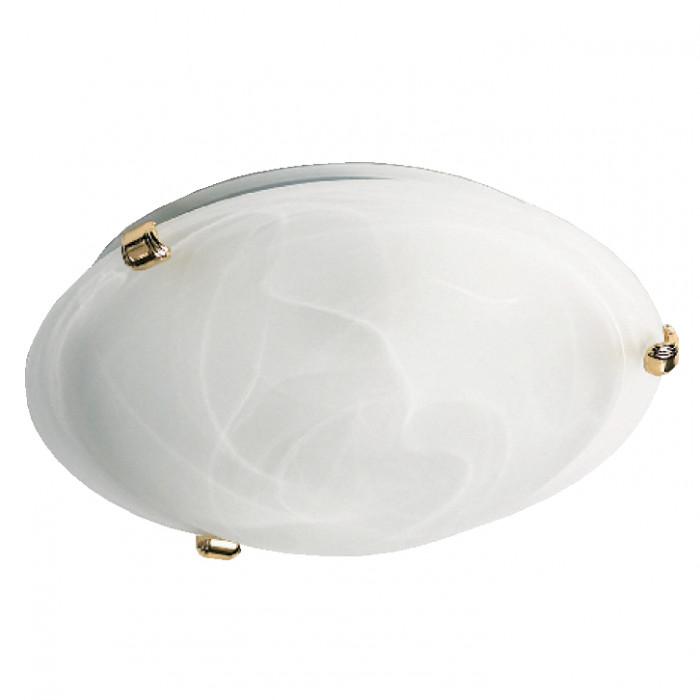 CLL8508-BS.psd.jpg